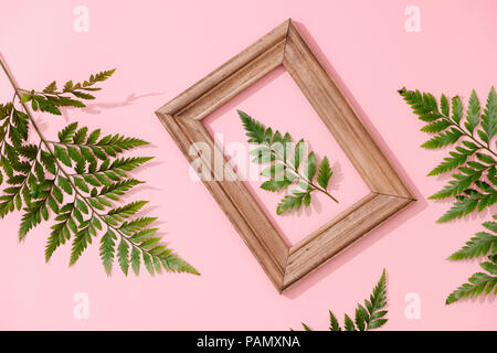 Handmade minimalist botanical interior decor, green tropical leaves in wooden frames hanging on pink background Stock Photo