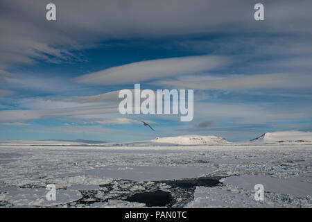 Franz-Josef Land landscape Stock Photo - Alamy