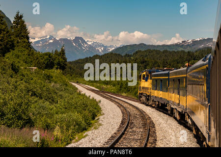 A bear crosses the tracks ahead of a train in Alaska, USA in summertime. Stock Photo