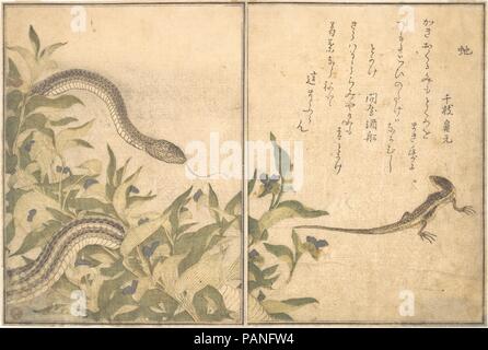 Rat Snake (Hebi); Lizard or Skink (Tokage), from the Picture Book of Crawling Creatures (Ehon mushi erami). Artist: Kitagawa Utamaro (Japanese, ca. 1754-1806). Culture: Japan. Dimensions: Overall: 10 1/2 x 7 1/4in. (26.7 x 18.4cm). Date: 1788.  Ehon mushi erami (Picture Book of Crawling Creatures) is illustrated with fifteen designs of insects and other garden creatures by Utamaro. Published by Tsutaya Juzaburo , the poems were selected and introduced by a preface written by the poet and scholar Yadoya no Meshimori (Rokujuen; 1753-1830), who later became head of the influential Go-gawa poetry  Stock Photo