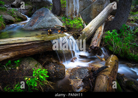 Perfect flowing log waterfall along Budd Creek - Cathedral Lakes Hiking Trail in Yosemite National Park. Stock Photo