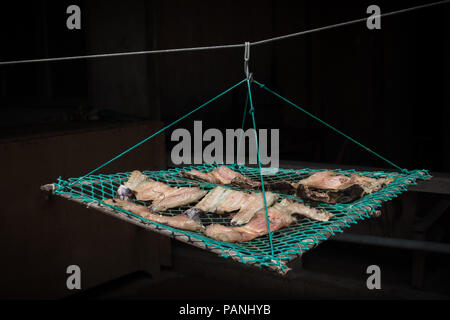 Fish (Tilapia) hanging in a framed net to dry in the sun. Stock Photo