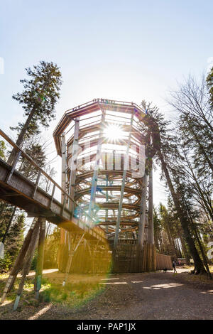 Germany, Bad Wildbad, Black Forest, Canopy Walk Black Forest against the sun Stock Photo