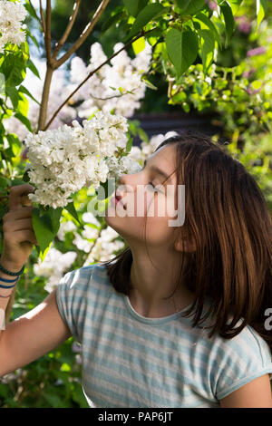 Portrait of girl smelling blossom of white lilac Stock Photo