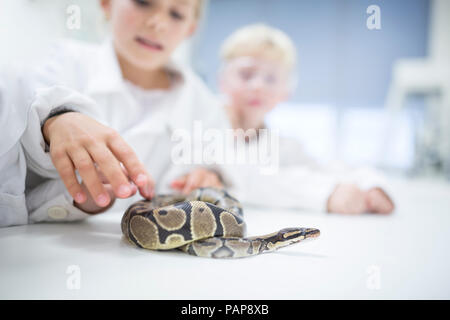 Pupils in science class examining snake Stock Photo