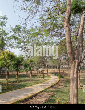 Path through the trees Stock Photo