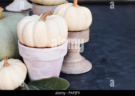 Thanksgiving Day or Halloween home decorations of mini pumpkins sitting on dark rustic table with free space for copy text. Stock Photo