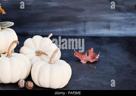 White mini pumpkins and acorns sitting on dark rustic table with free space for copy text. Halloween or Thanksgiving Day background. Stock Photo