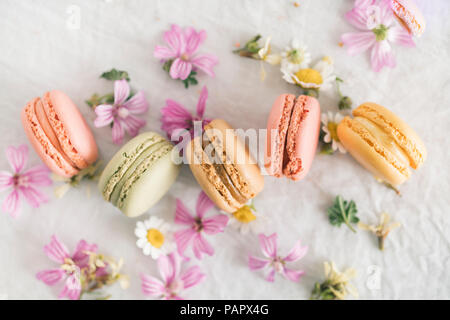 Macarons with blossoms Stock Photo