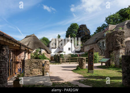 Thatched cottages in Cockington Village, Torquay, Devon, UK Stock Photo