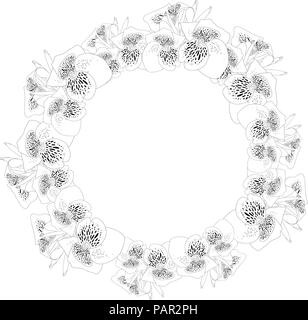 Canna indica - Canna lily, Indian Shot Outline Wreath. Vector Illustration. Stock Vector