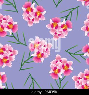 Pink Vanda Miss Joaquim Orchid on Purple Background. Singapore National Flower. Vector Illustration. Stock Vector