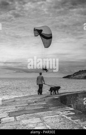 A Paraglider sails serenely past a dog walker on the Cobb at Lyme Regis in Dorset, England. Stock Photo