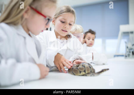 Pupils in science class examining snake Stock Photo