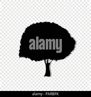 Black silhouette of foliar tree icon isolated on transparent background. Vector illustration, sign, symbol, clip art, pictogram for design. Stock Vector