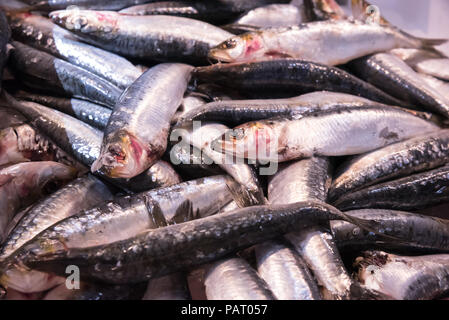 A display of plenty of fresh Sardines on ice, in a fresh food market, Biarritz, France. Stock Photo