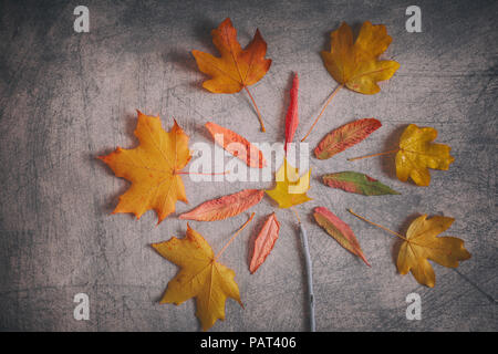 Autumnal red-yellow leaves floral composition on grey scratchy background Stock Photo