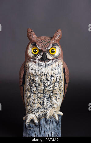 Plastic Great Horned Owl decoy used for scaring birds away Stock Photo