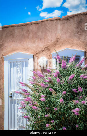 a detail of a territorial style adobe home with a beautiful Lavender Butterfly bush in full bloom outside the door Stock Photo