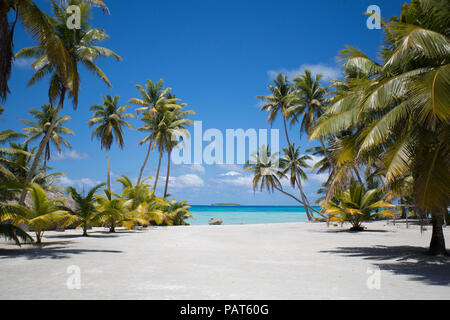 Cook Islands, Palmerston Island. Remote tropical island in the South Pacific. White sand pathway. Stock Photo