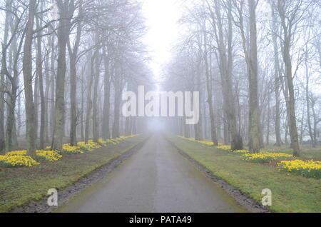 The main driveway to Dunrobin Castle, Scotland, UK Stock Photo