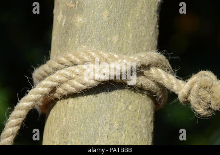 Clove hitch on a hemp rope. Stock Photo