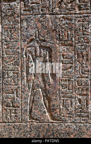 The jackal headed Egyptian god Anubis carved on a red granite sarcophagus from ancient Memphis, displayed at modern Mit Rahina, Egypt. Stock Photo