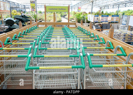 Rows of empty shopping trolleys at English Garden Centre Stock Photo