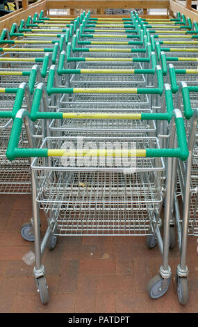 Rows of empty shopping trolleys at English Garden Centre Stock Photo
