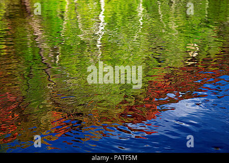 Trees and sandstone reflecting in Oak Creek, Sedona, Arizona, USA Stock Photo