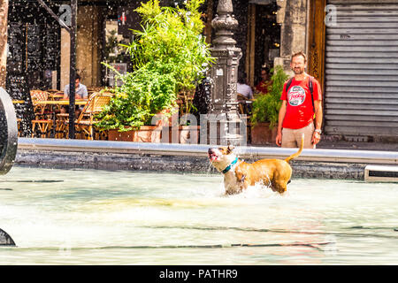 A dog plays in the Stravinsky Fountain, next to the Centre Pompidou, Paris, France Stock Photo