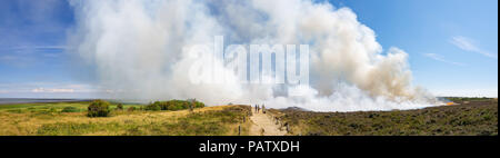 Controlled burning of old and dry heather at Morsum Cliff, Germany. Stock Photo