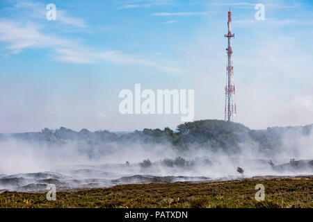 Controlled burning of old and dry heather at Morsum Cliff, Germany. Stock Photo