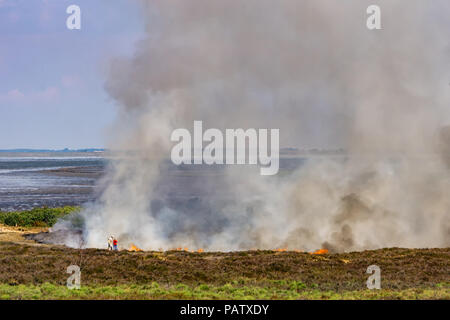 Controlled burning of old and dry heather at Morsum Cliff, Germany. Stock Photo