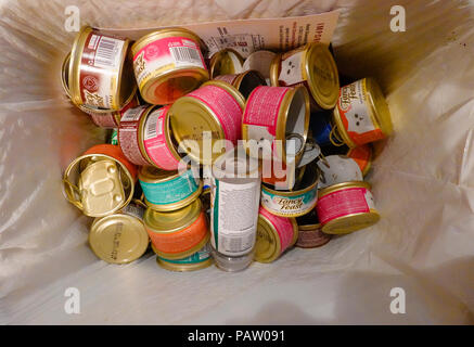 Empty cat food cans in a kitchen recycling bin. Stock Photo