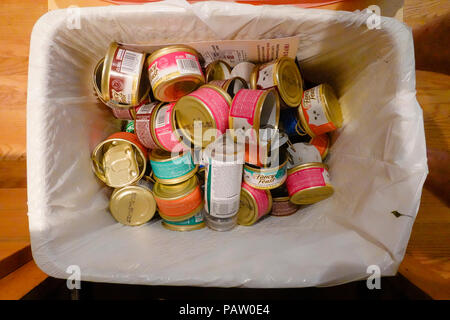 Empty cat food cans in a kitchen recycling bin Stock Photo Alamy