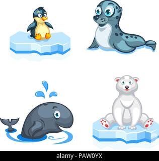 Set of vector cartoon arctic animals a navy seal, a polar bear, a whale and a penguin Stock Vector