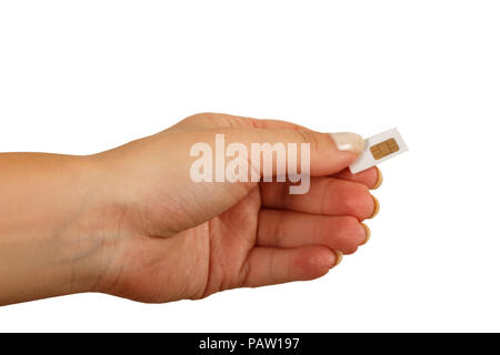 female hand holding a SIM card isolated on white background Stock Photo