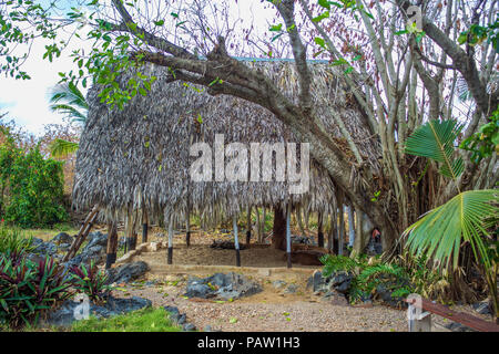 Traditional bure with thatched roof.  Dominican republic Stock Photo