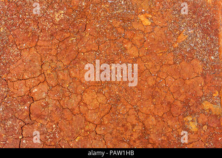 textured background of cracked red soil Stock Photo