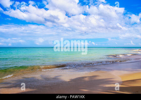 Ideal vacation. Perfect beach in Dominican Republic. Blue sea, hight palm trees and blue sky Stock Photo