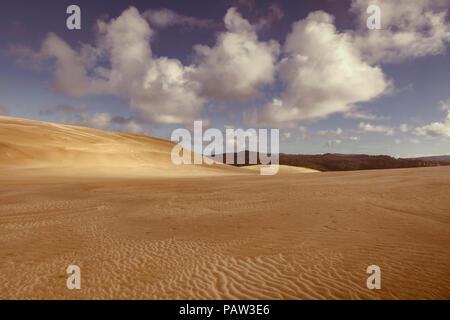 Te Paki giant sand dunes, Northland, New Zealand. Stock Photo