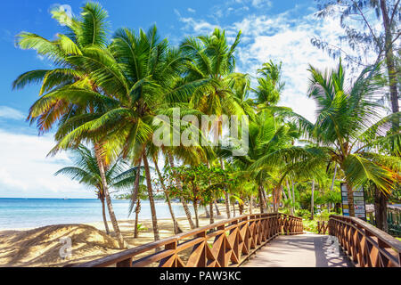 wooden bridge among the palm trees on the beach Stock Photo