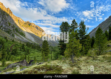 Early morning in Siberian mountain valley. June. East Sayan. Russia Stock Photo