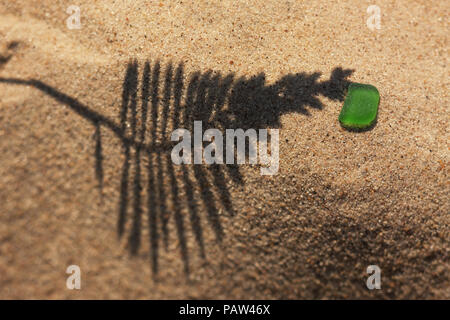 The shadow of the plant on yellow sand beach with a piece of bright green glass from the sea. Tilt-shift lens. Focus on the diagonal. Stock Photo