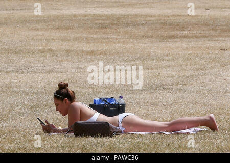 Hyde Park. London. UK 25 June 2018 - A woman sunbathes in Hyde Park on a very hot and humid day in the capital. According to the Met Office the temperature in London and South East is likely to reach 35 degree celsius on Thursday.    Credit: Dinendra Haria/Alamy Live News Stock Photo