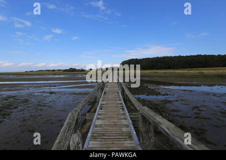 Wooden walkway across Peffer Burn at Aberlady Bay Nature Reserve East Lothian Scotland  July 2018 Stock Photo