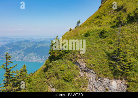 Slope of Mt. Rigi in Switzerland in summer. Mt. Rigi is a popular tourist destination, accessible by mountain rack railway. Stock Photo