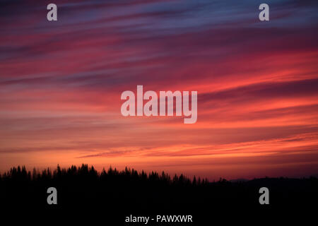 Vibrant, pink and orange Sierra Nevada Sunrise with forest silhouette - Yosemite National Park Stock Photo