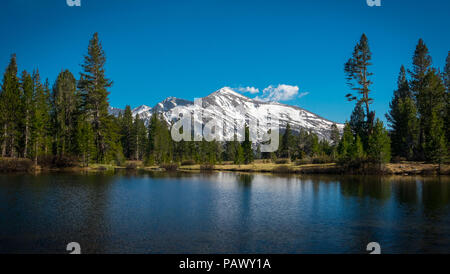 Snowy Mammoth Peak overlooking  a lake consisting of springtime snowmelt - Yosemite National Park Stock Photo